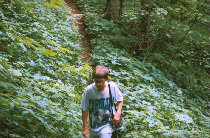  Tanawha Trail in July